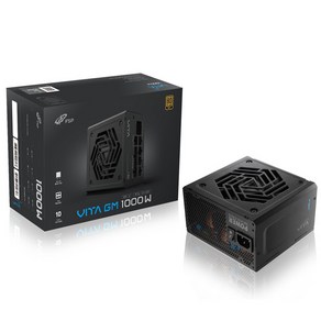 FSP VITA GM 1000W 80PLUS Gold ATX 3.1 파워서플라이, VITA-1000GM(블랙)