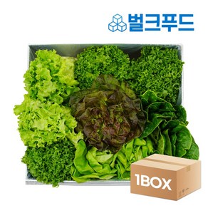 유러피안 샐러드야채 1kg 로메인 버터헤드 쌈채소, 01. 유러피안 샐러드 1kg