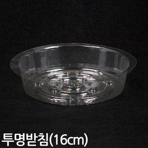 플라스틱 투명 화분 받침 16cm - 화분받침 식물받침 받침대 물받이 화분받이 인테리어 홈가드닝 식물 화분갈이 분갈이 홈카페, 01_Sein_PE투명받침(6호)