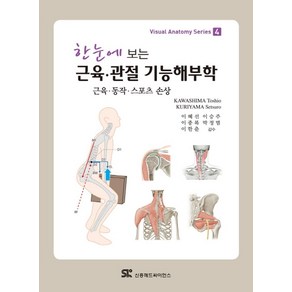 한눈에 보는근육 관절 기능해부학:근육 동작 스포츠 손상