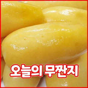 건영푸드 무짠지 국내산 4kg 오독오독 칼칼한 밥도둑 짠지무침, 1개