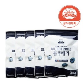 냉동 블루베리 미국산 1kg x 5개 베리필드