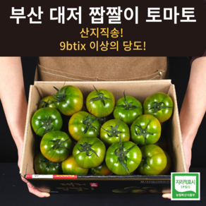 녹공이네 산지직송 당일수확 프리미엄 부산 대저 짭짤이 토마토, 1박스, 2.5kg(중과)