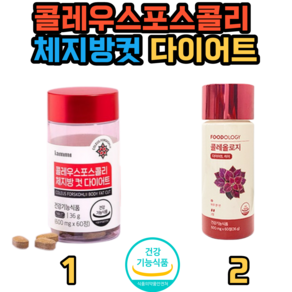 1.콜레우스포스콜리 체지방컷 다이어트 2.빨간통 다이어트 콜레올로지 푸드올로지 60정 여성 체지방관리 비타민B 복부지방 20대 30대 40대, 1개