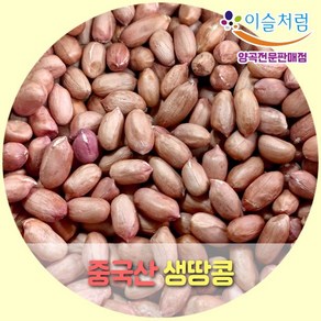 이슬처럼 중국산 생땅콩 햇땅콩 1kg (2023년산)