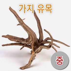 가지유목 [중], 1개