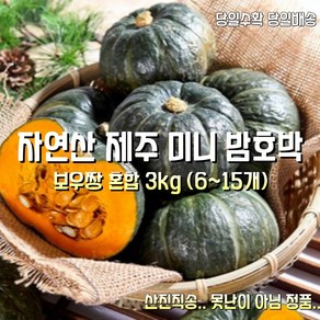 [산지직송] 제주 미니밤호박 보우짱 정품 혼합 3k 6~15개 1박스, 1개, 제주 미니 밤호박 보우짱정품 혼합 3k 6~15개