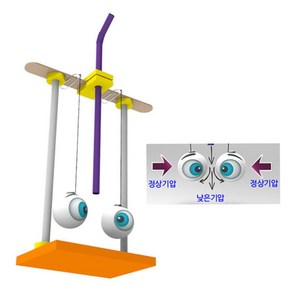 베르누이 눈알 모으기(1인용) /과학/실험/학습/교구
