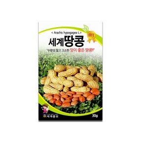 모칸도 세계종묘 땅콩 30g, 1개