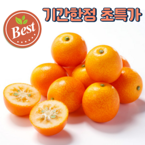 [역대급새콤함] 제주 금귤 낑깡, 1박스, 대 1kg