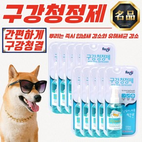 포비스 강아지 고양이 구강 청정제 100ml x 10개 [입냄새 세균 감소]