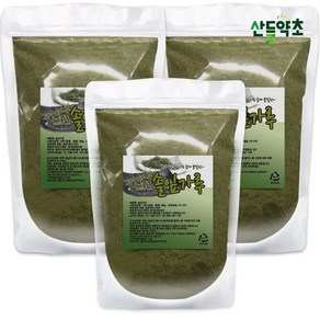 솔잎가루 300g 소나무잎분말 100% 국산 푸른 솔잎으로 분말, 3개