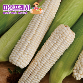 따봉프레시 품질보증 쫀득탱글 맛있는 황제 백찰옥수수