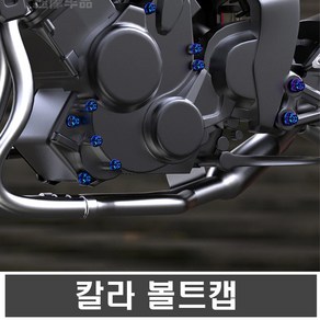 오토바이 볼트 캡 커버 레드/골드/블루 플라스틱 너트 나사 장식 튜닝용품 헤드 후크, 58볼트캡(블루), 1개