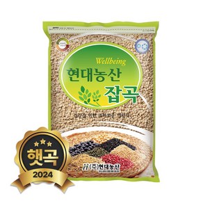 현대농산 국산 늘보리 2kg, 1개