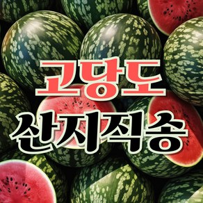 [당도보장] 꿀을 삼킨 고당도 수박, 1개, 3~4kg (못난이)