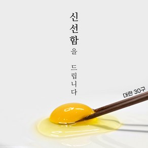 파머스테이블 HACCP 무항생제 신선한 계란 대란