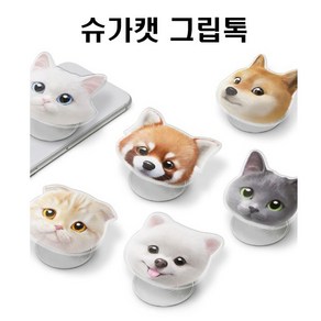 [세븐에잇스] 슈가캣 그립톡, 2 스코티쉬폴드 마루, 1개