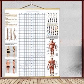 체형 분석 롤스크린 분석표 측정 격자 스크린 분석판, 8. 검정 80x200 걸이식