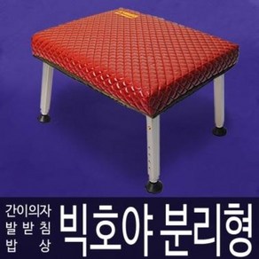 빅호야분리형