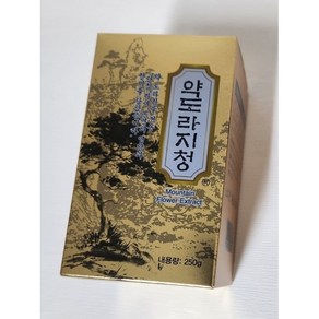 디엘 약도라지청 250g 1병 국산 약도라지, 1개