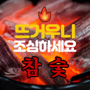 참좋은숯 비장탄 참숯 구이 바베큐 캠핑 업소용, 1개, 10kg