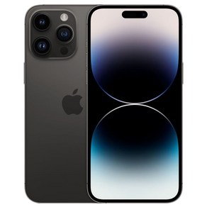 Apple 정품 아이폰 14 Po Max 자급제, 스페이스블랙, 256GB