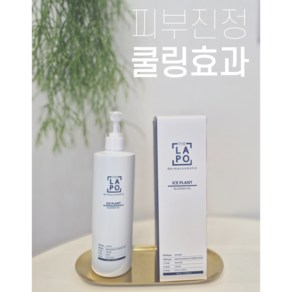 HK 더라포 아이스 플랜트 블래더 겔, 1개, 500ml