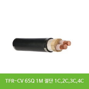 TFR-CV 6SQ 1M 단위절단 1C 2C 3C 4C 대세전기, CV 6SQ 2C 1m, 1개