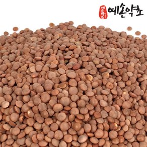 렌틸콩 렌즈콩 1kg, 1개