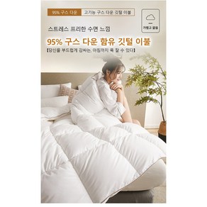 95% 거위털 이불 가을 겨울 이불 2.5kg, 그레이