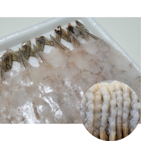 노바시새우20미450g 왕특대 손질새우 수제새우튀김 에비동, 20미(450g) × 5개, 5개, 20미(450g)