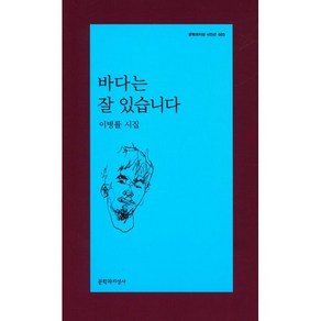 바다는 잘 있습니다:이병률 시집