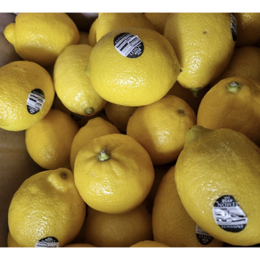 [산지직송] 팬시레몬 중과(120g내외) 30과 60과 90과 팬시레몬중과 Lemon, 30개, 120g