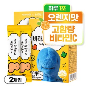 네추럴라이즈 우주먼지 데일리 비타씨 플러스 비타민 스틱, 20회분, 40g, 2개