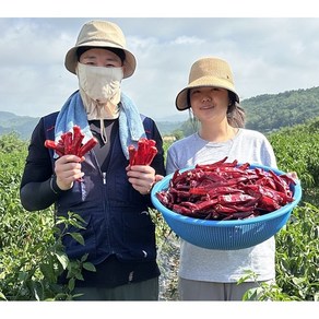 시골냉장고 국산 청송 햇 고춧가루 1kg 보통맛 김장용, 1개