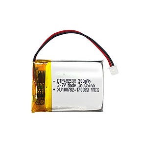 [리튬폴리머] DTP 602040 3.7V 450mAh, 1개입, 1개