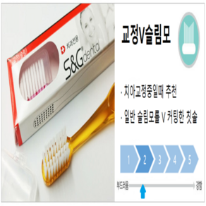 [S&G 공식판매점] 치아교정용 칫솔 (슬림모 일반모 1박스 / 12개입)