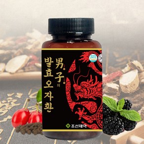 조선제약 남자의 발효오자환 100g, 1개