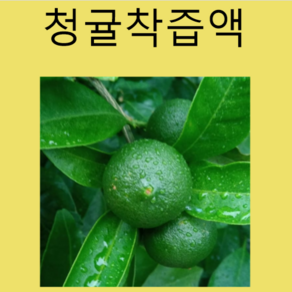 통째로 얼린 제주 풋귤 냉동청귤 /신생농원, 착즙액 청담기용 풋귤 착즙액10키로, 1박스