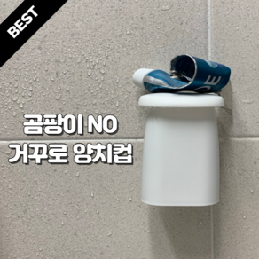 냥펀치 곰팡이NO 거꾸로 쓰는 양치컵