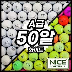 타이틀리스트 토탈브랜드 혼합 로스트볼 A급