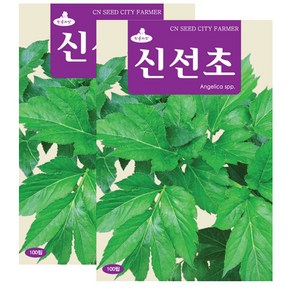 세인화분 신선초씨앗 100립 약초씨앗 민속채소 산야초 명일엽 신선초 씨앗, 2개