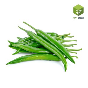 매운 땡초고추 청양고추 특 10kg, 1개