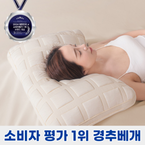 푸른잠 푹신한 경추 수면 베개, 2개, 단색