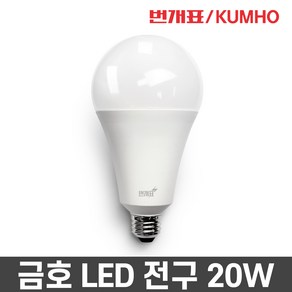 번개표 LED 전구 볼전구 램프삼파장 20W, 주광색, 1개