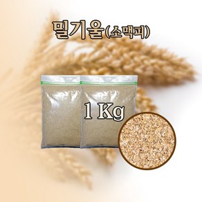 밀기울 1Kg / 밀웜먹이 / 귀뚜라미먹이 / 소동물먹이, 1개