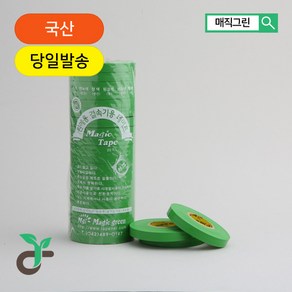 매직그린 결속기테이프 농장물 결속 테이프 지지대끈 결속끈 포도 블루베리 가지 고추 오이 토마토 줄기끈 20롤