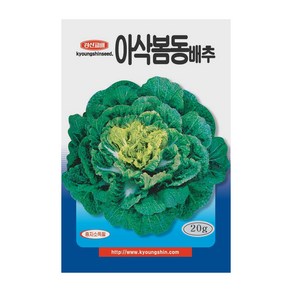 경신종묘 배추씨앗 아삭봄동배추 20g, 1개