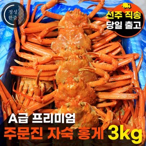 [수율꽉찬 주문진 제철홍게] 자숙 연지홍게 프리미엄 A급 우선선별 산지직송 3kg (9미~11미)